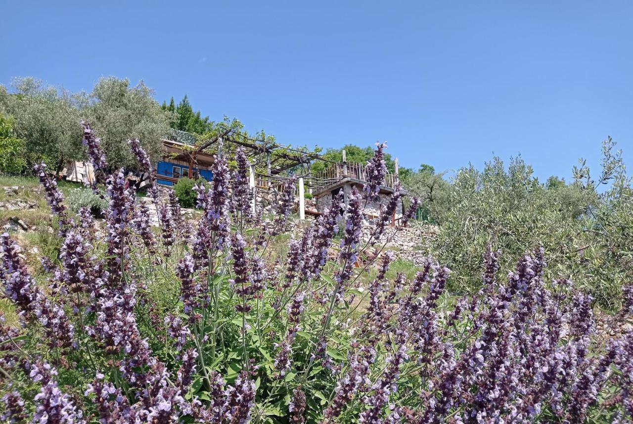 Villa Casa Delle Olive à Mošćenička Draga Extérieur photo