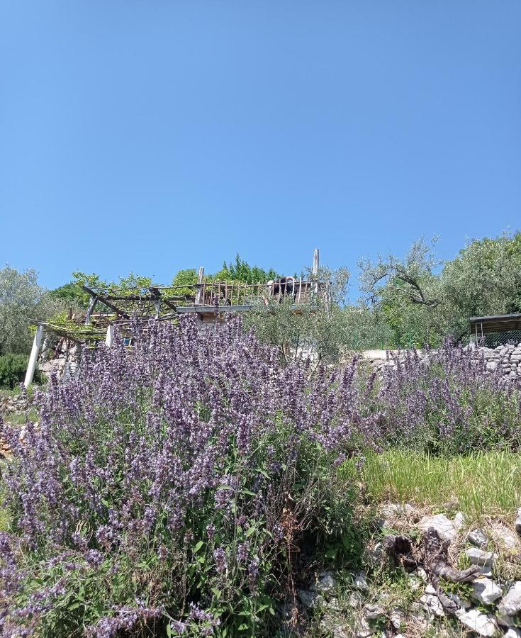 Villa Casa Delle Olive à Mošćenička Draga Extérieur photo
