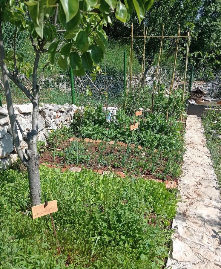 Villa Casa Delle Olive à Mošćenička Draga Extérieur photo
