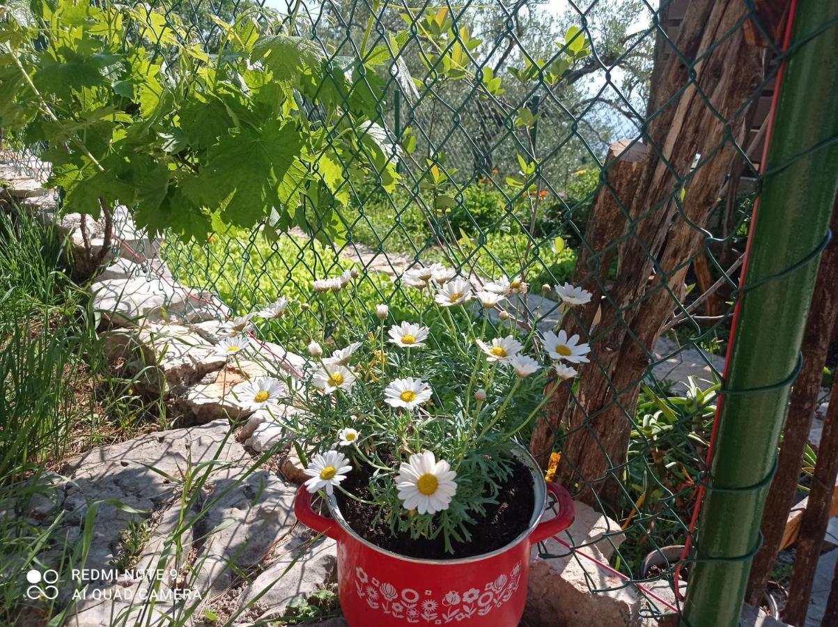 Villa Casa Delle Olive à Mošćenička Draga Extérieur photo