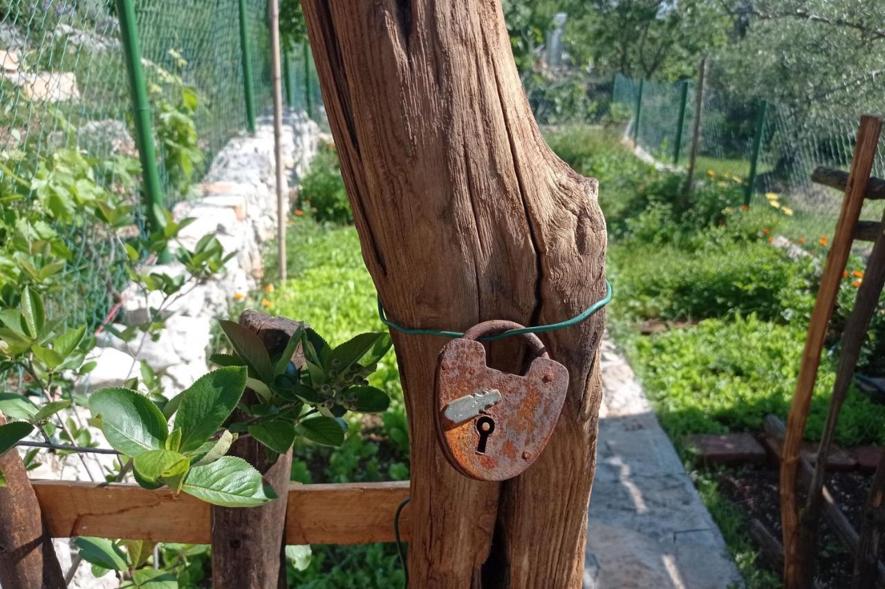 Villa Casa Delle Olive à Mošćenička Draga Extérieur photo